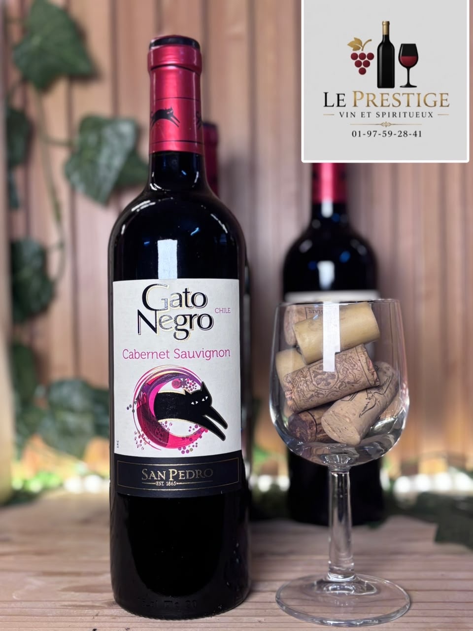 Gato Negro Cabernet Sauvignon