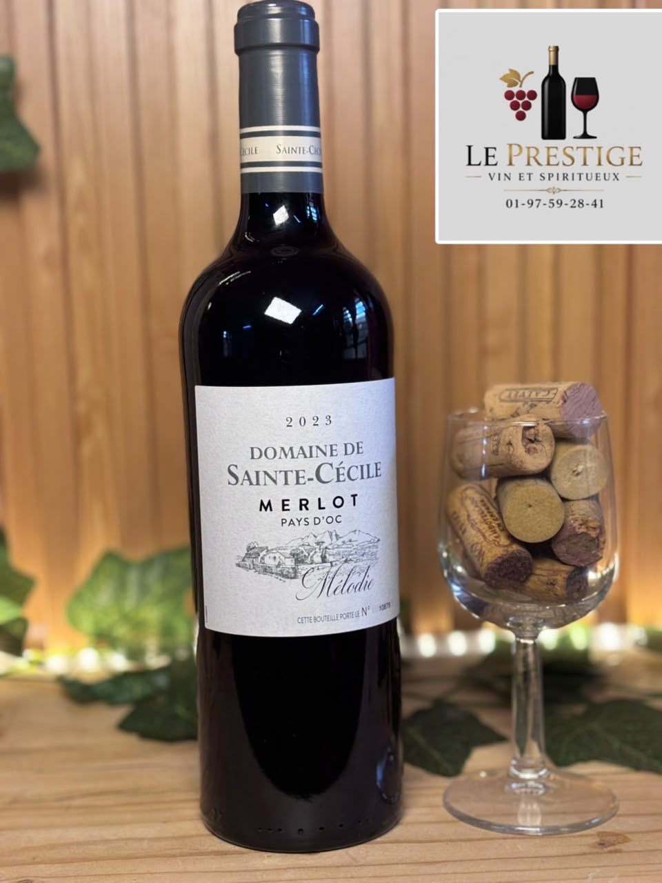 Merlot Domaine Sainte-Cécile